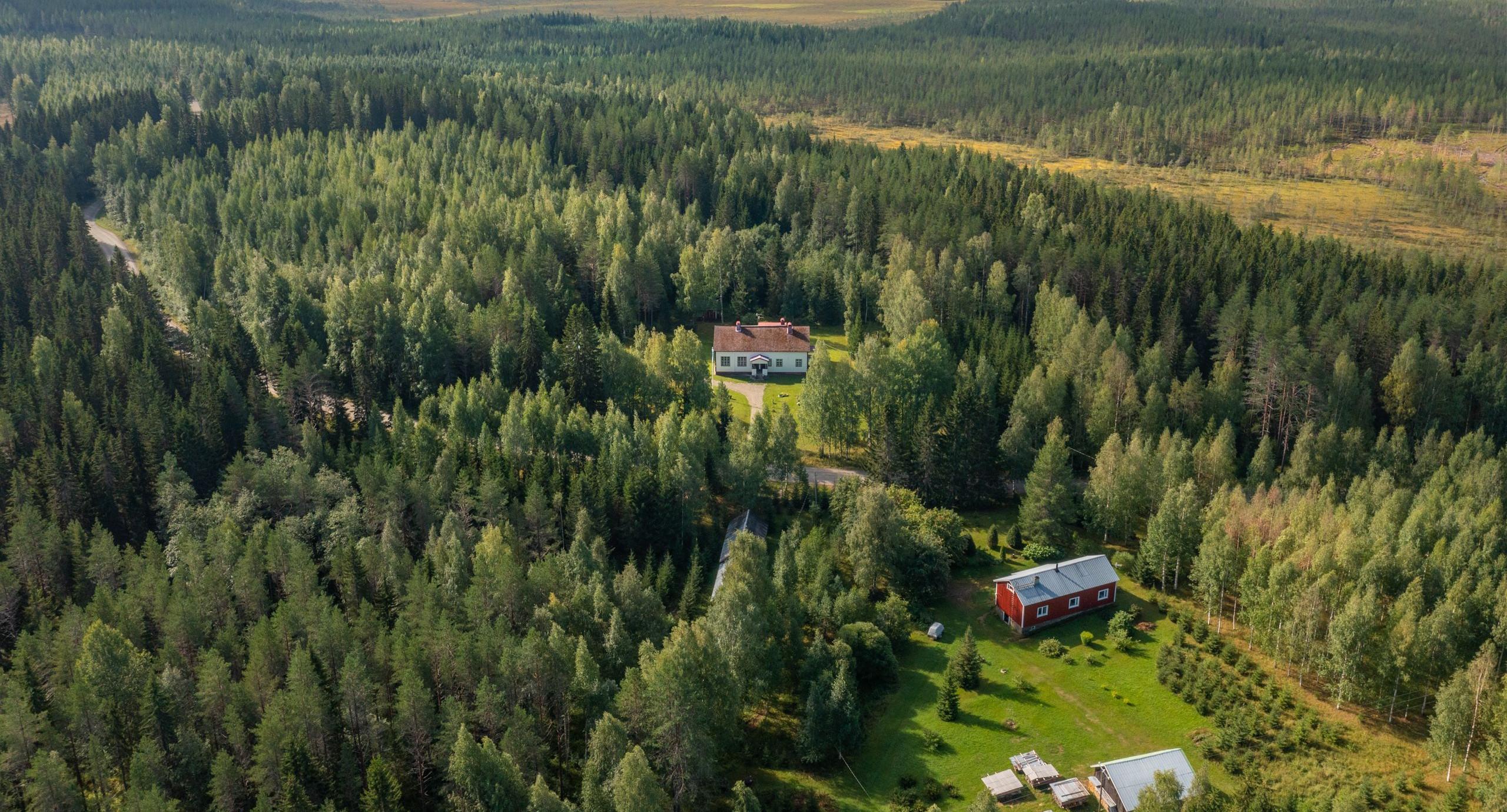 Ukkolanvaaran maastoa