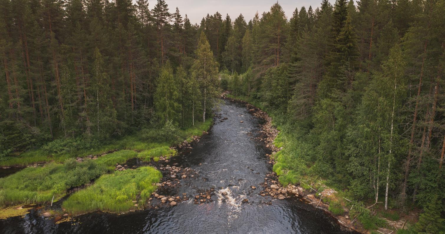 Fluss Koitajoki in Ilomantsi, Finnland.