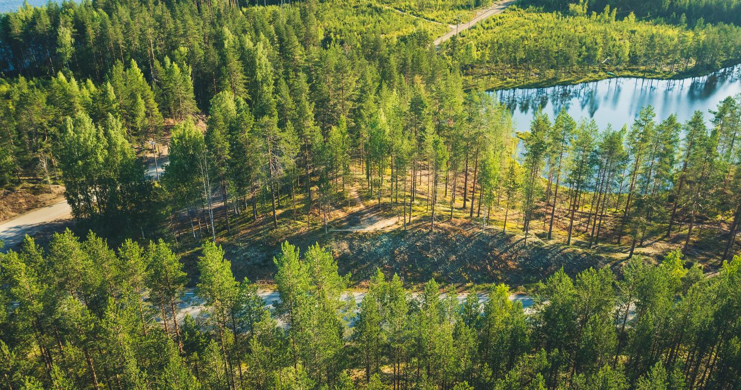 Pond of Taivallampi in Ilomantsi.