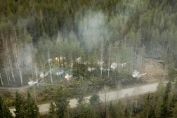 Restoring the &Ouml;ykk&ouml;senvaara wartime landscape