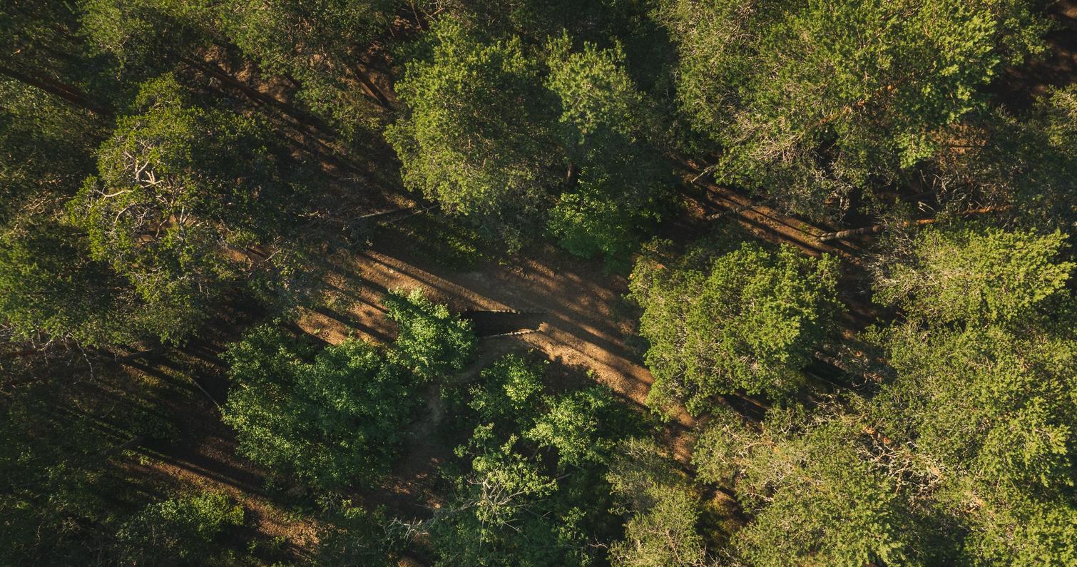 Aerial view of the terrain of Petkelj&auml;rvi National Park