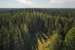 Kriegsstrasse Ilomantsi: Die Landschaft von Parissavaara in Ilomantsi, Finland.