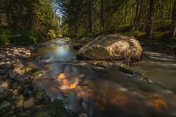 Suojoki river on the Ilomantsi Battlegrounds Trail