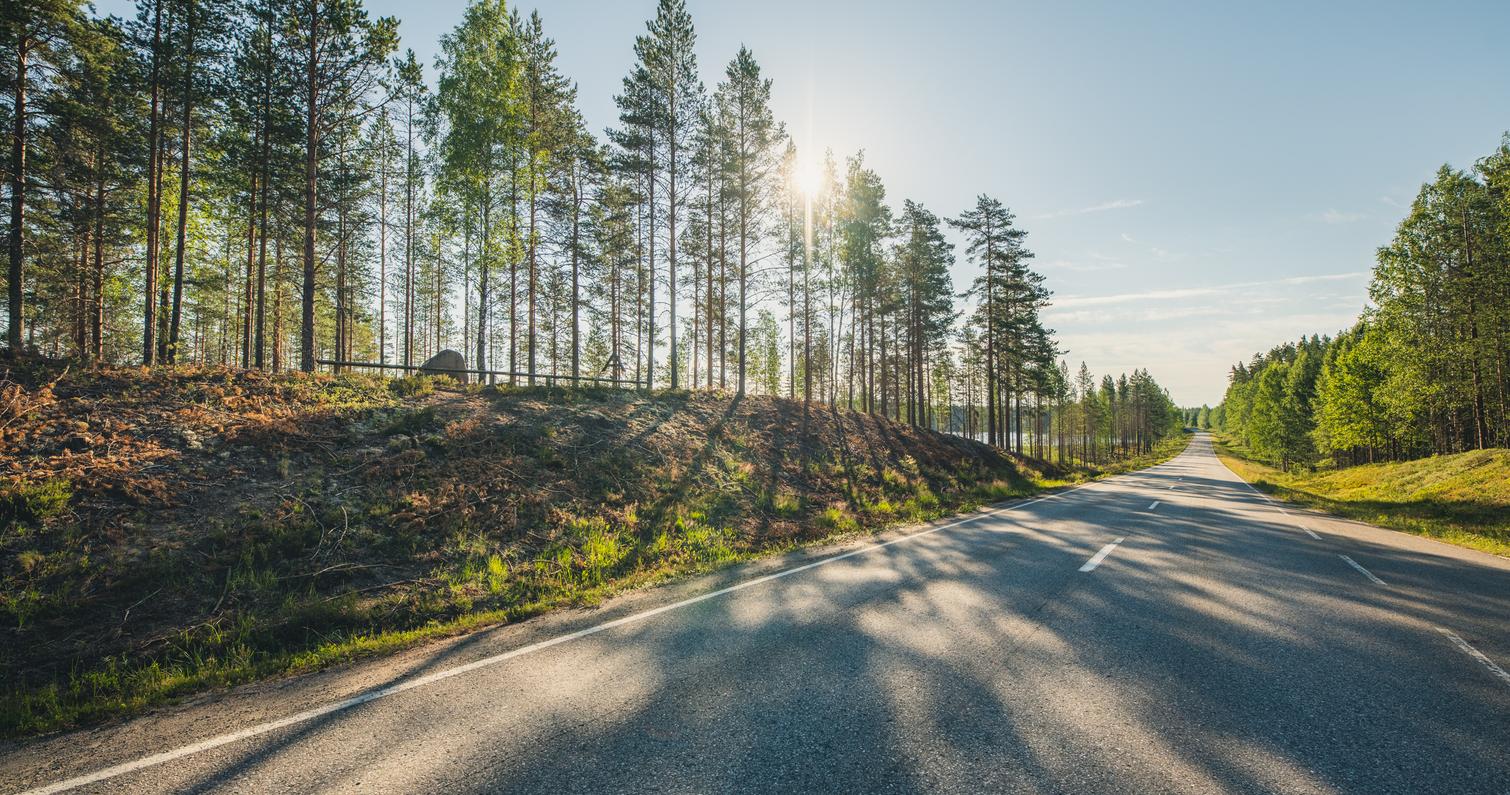 The surroundings of the Taivallampi memorial area, the forest and the road