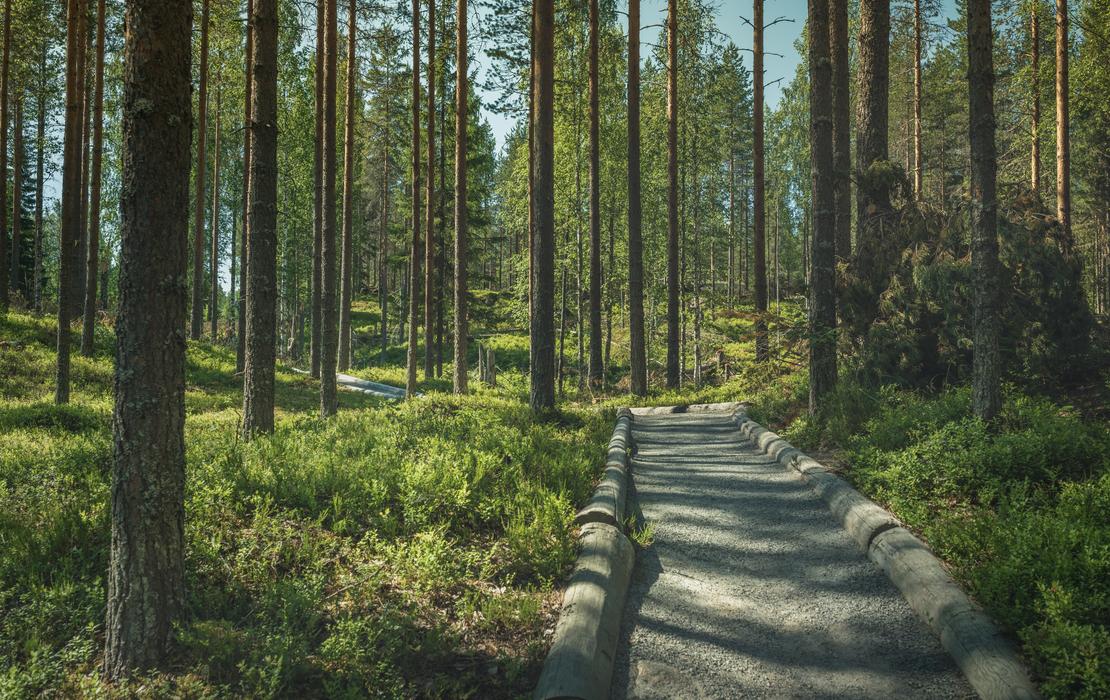 Öykkösenvaaran polku