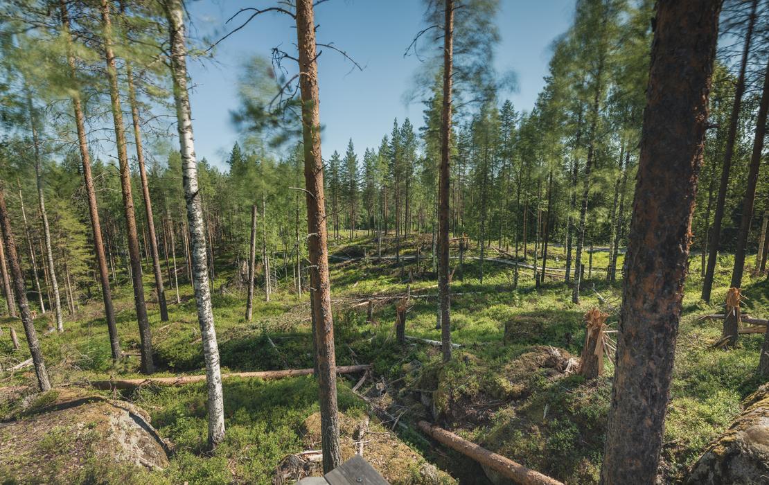 Näkymä katselu tasanteelta
