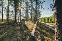 Taivallampi terrain in Ilomantsi.
