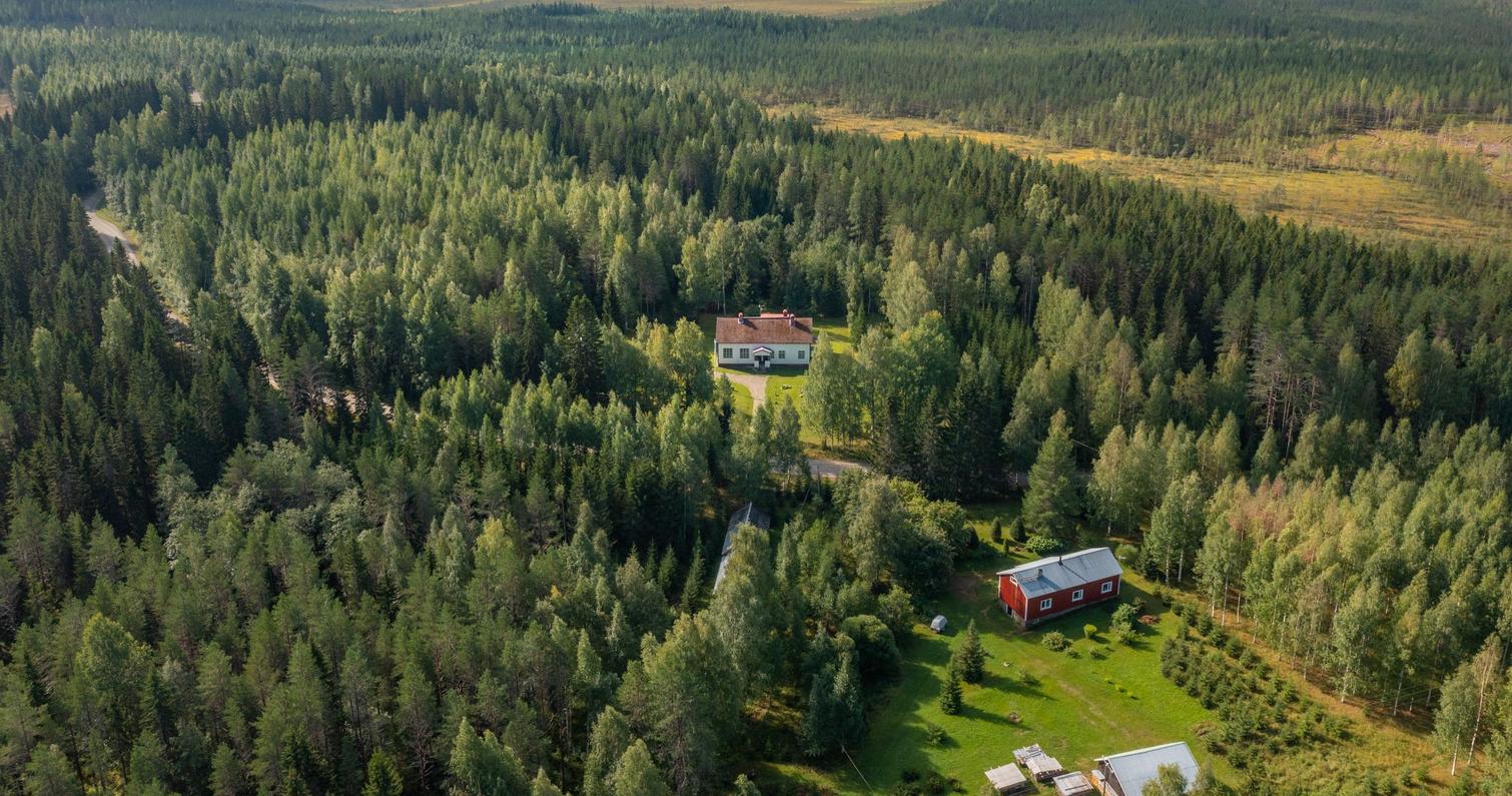 Taloja ja mets&auml;&auml; Ukkolanvaaralla