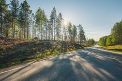 The surroundings of the Taivallampi memorial area, the forest and the road