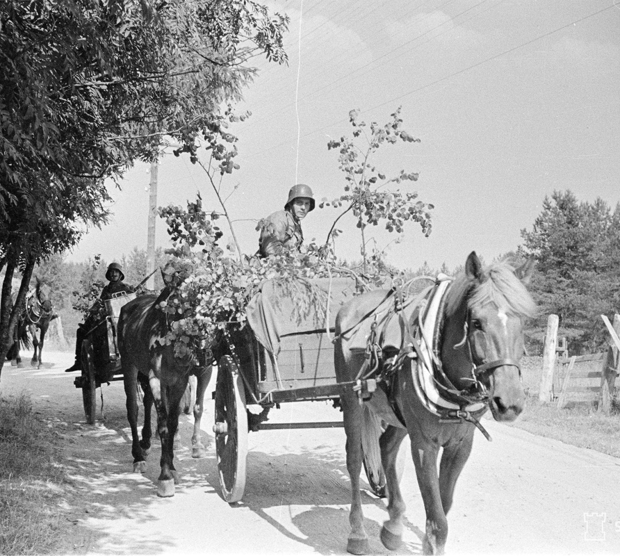 Jatkosota Ilomantsissa 1941-44