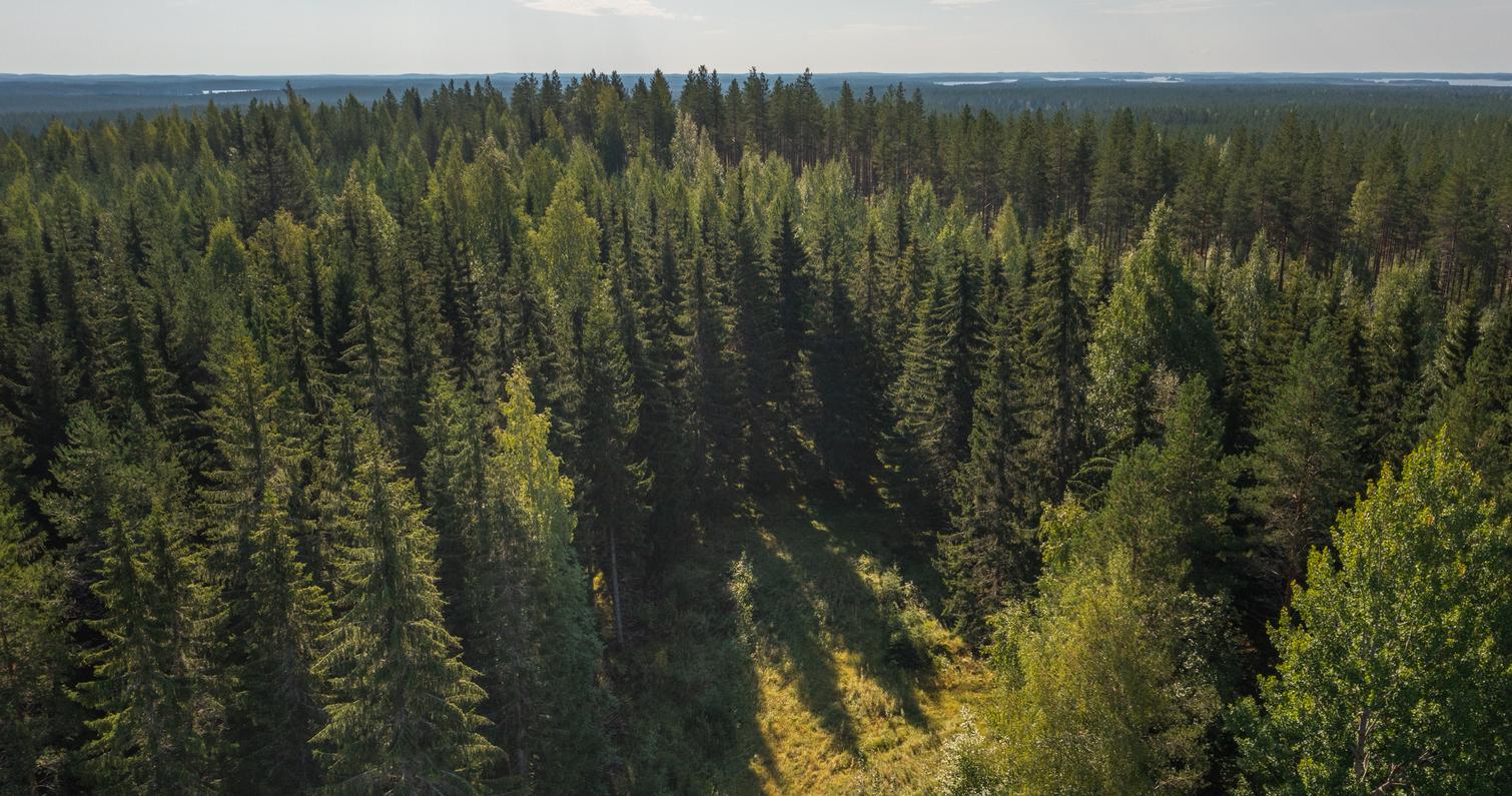 Kriegsstrasse Ilomantsi: Die Landschaft von Parissavaara in Ilomantsi, Finland.