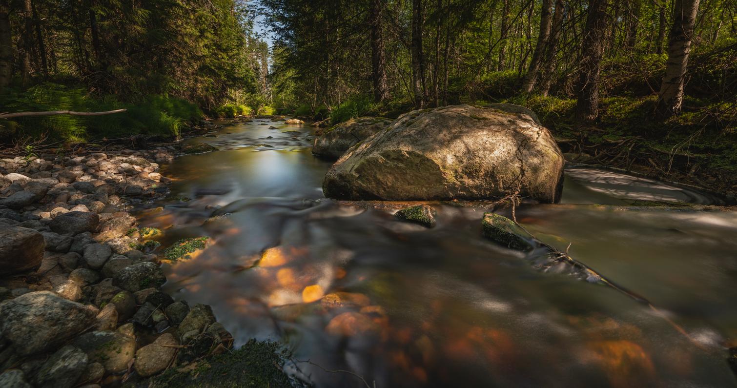Suojoki river on the Ilomantsi Battlegrounds Trail