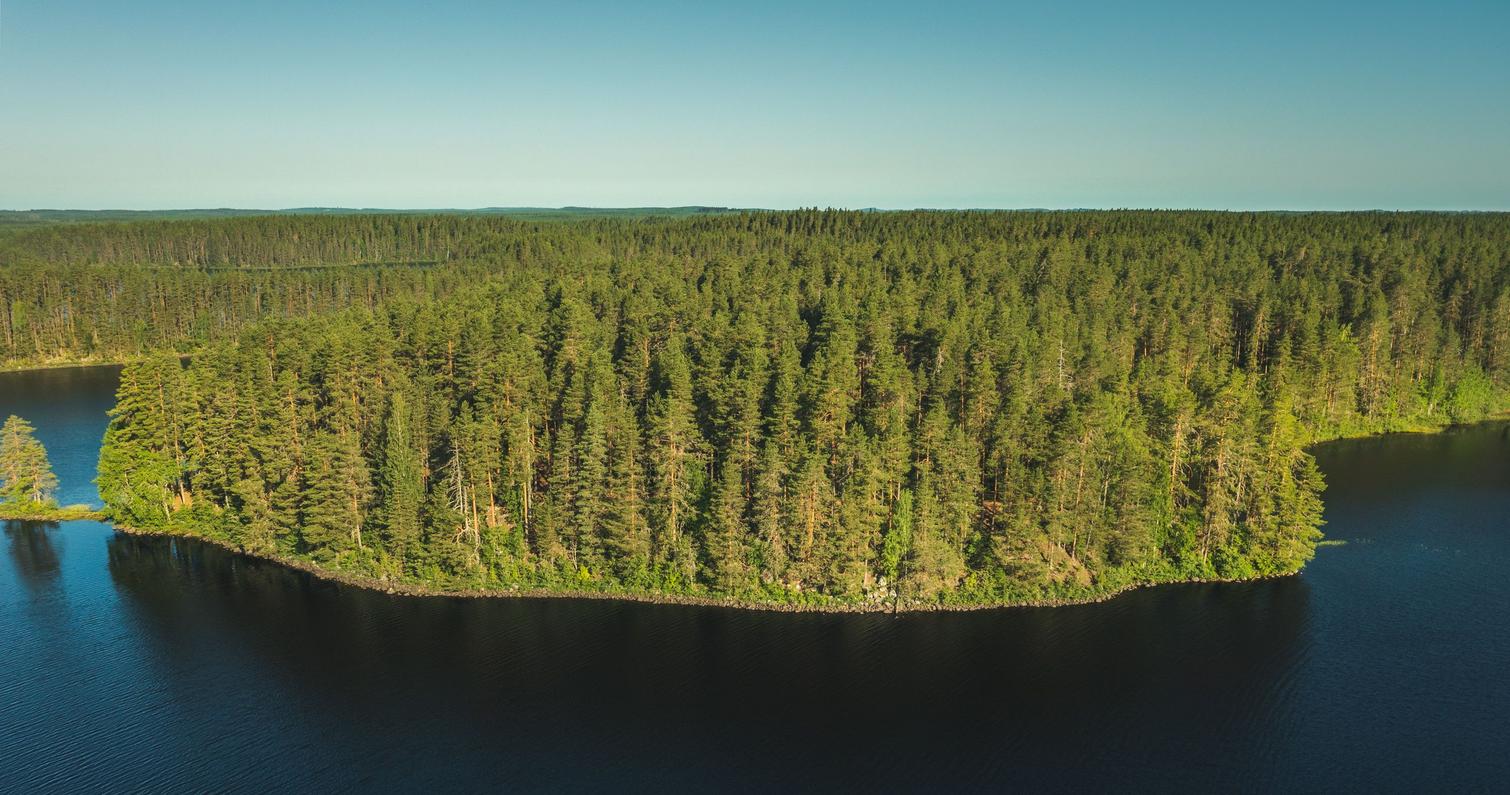 The scenic Petkelj&auml;rvi National Park area