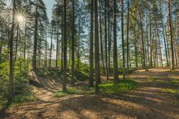 Petkelj&auml;rvi terrain.