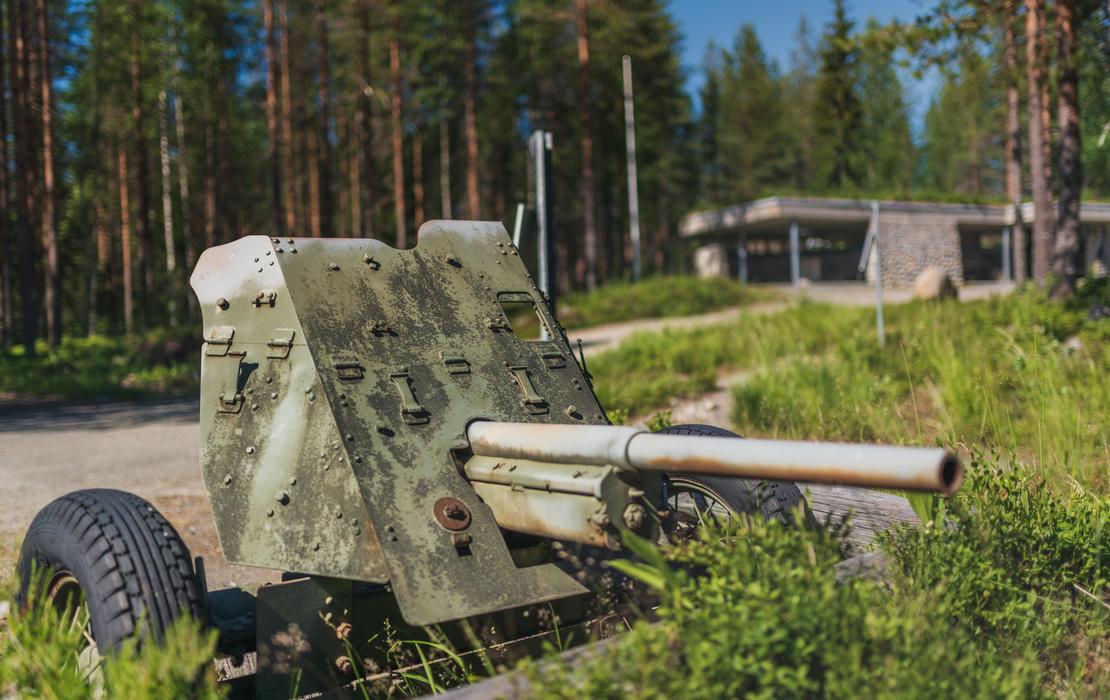 Öykkösenvaaran tykki