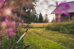 Makkola courtyard in Ilomantsi