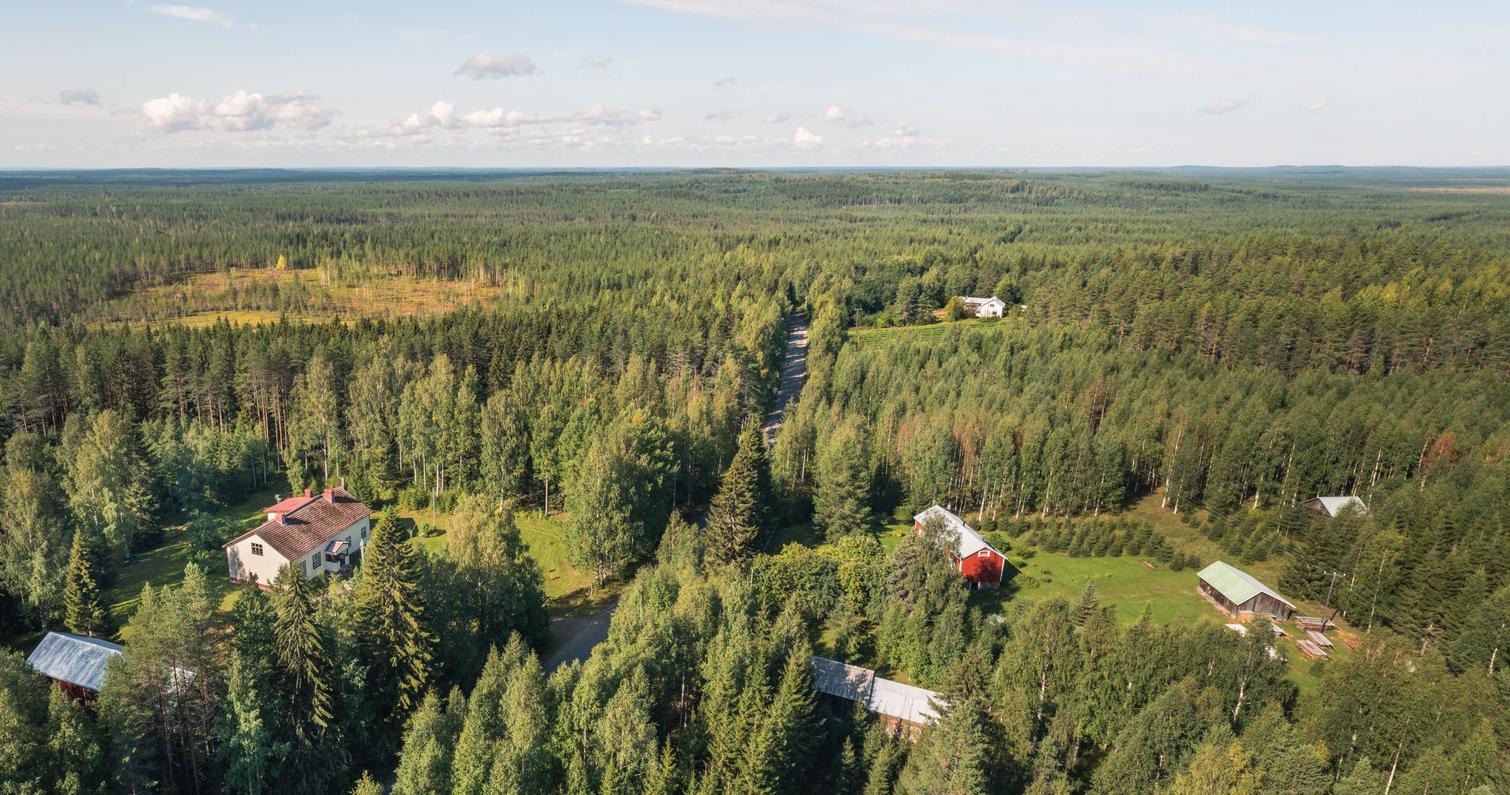 Taloja ja mets&auml;&auml; Ukkolanvaaran maastossa