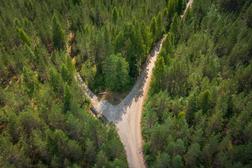 Utrion tienristeys ja mets&auml;&auml;