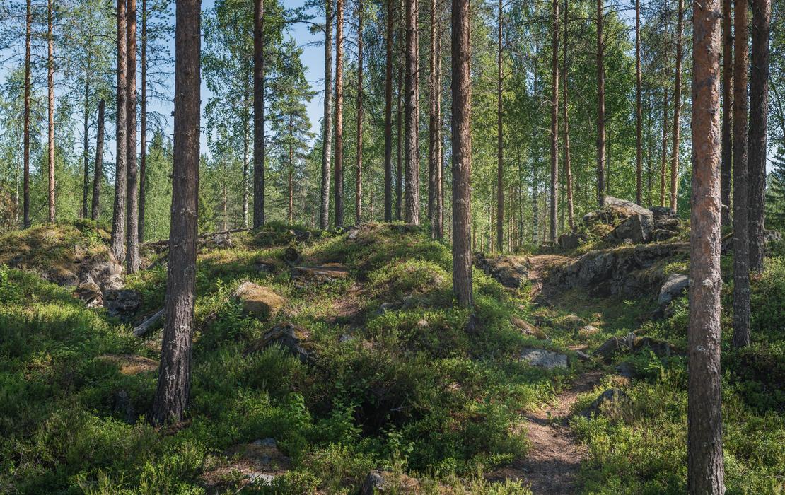 Kallioon louhittuja tuliasemia