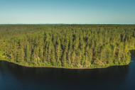 Petkeljärven luonnonkaunista kansallispuistoaluetta
